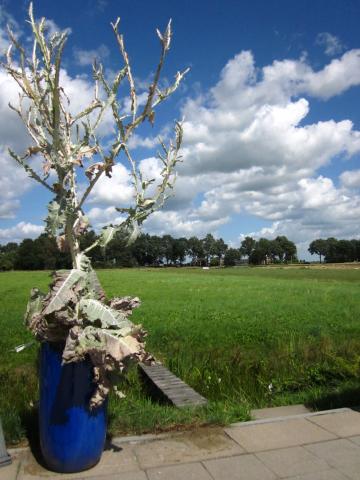 Lokaal nieuw (streek)product